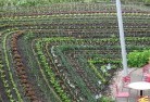 Claredalepermaculture-5.jpg; ?>